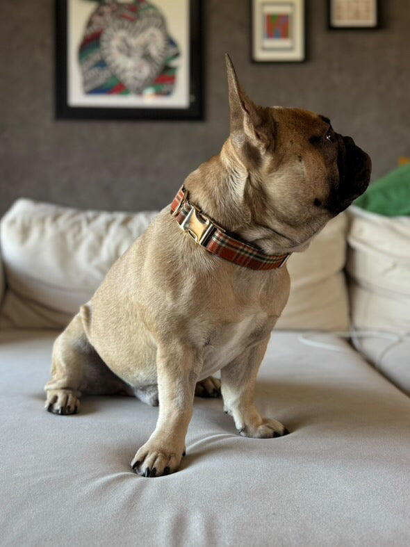 Guia de tamanhos: 13kg ~ Tamanho M