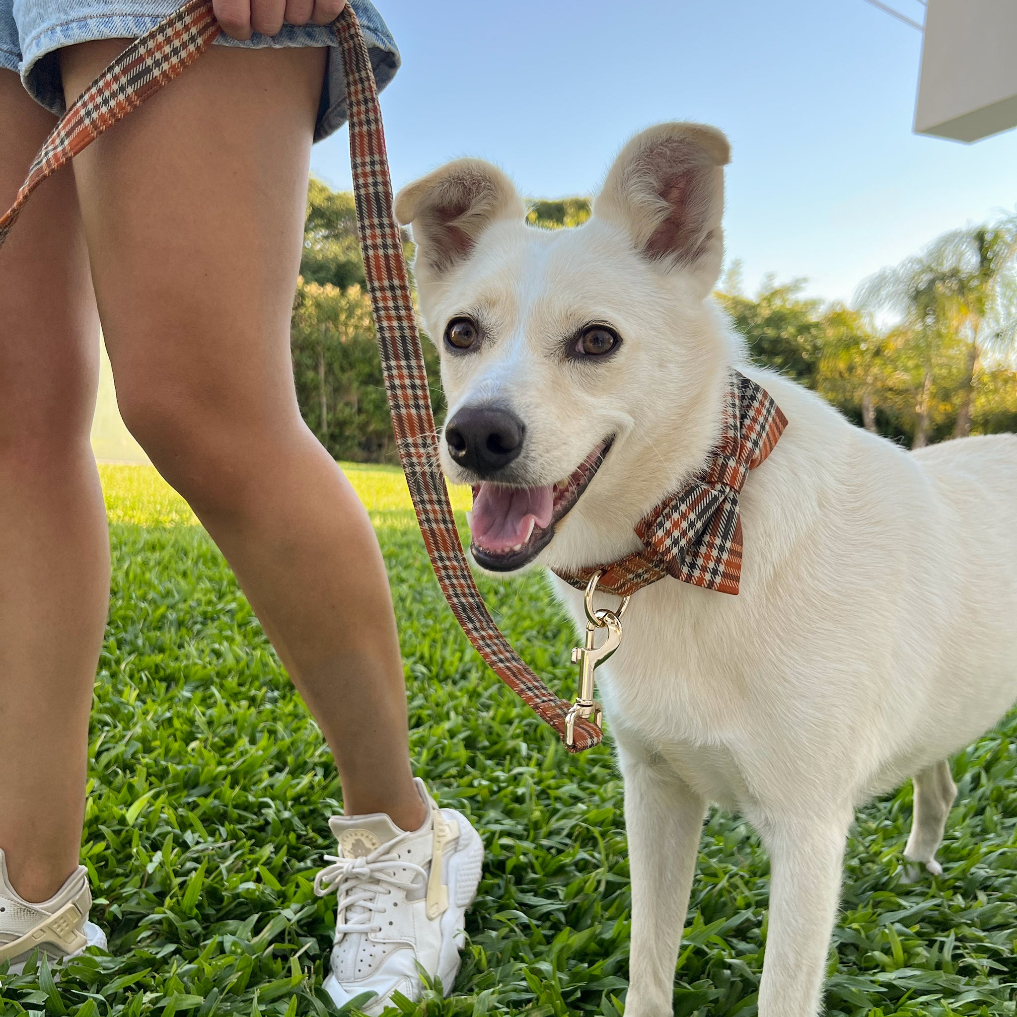 Guia de tamanhos: 15kg ~ Tamanho M