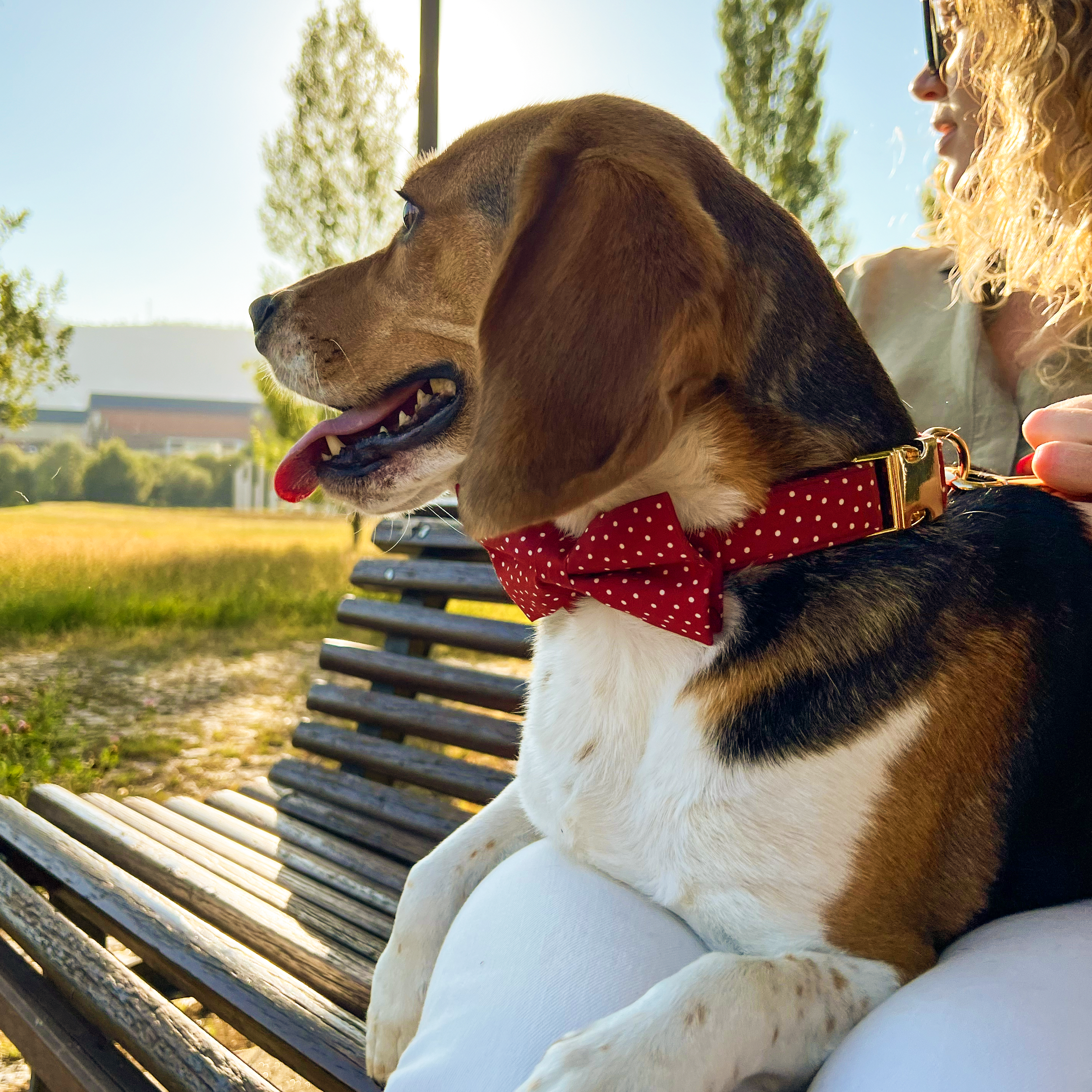 Guia de tamanhos: 14kg ~ Tamanho M