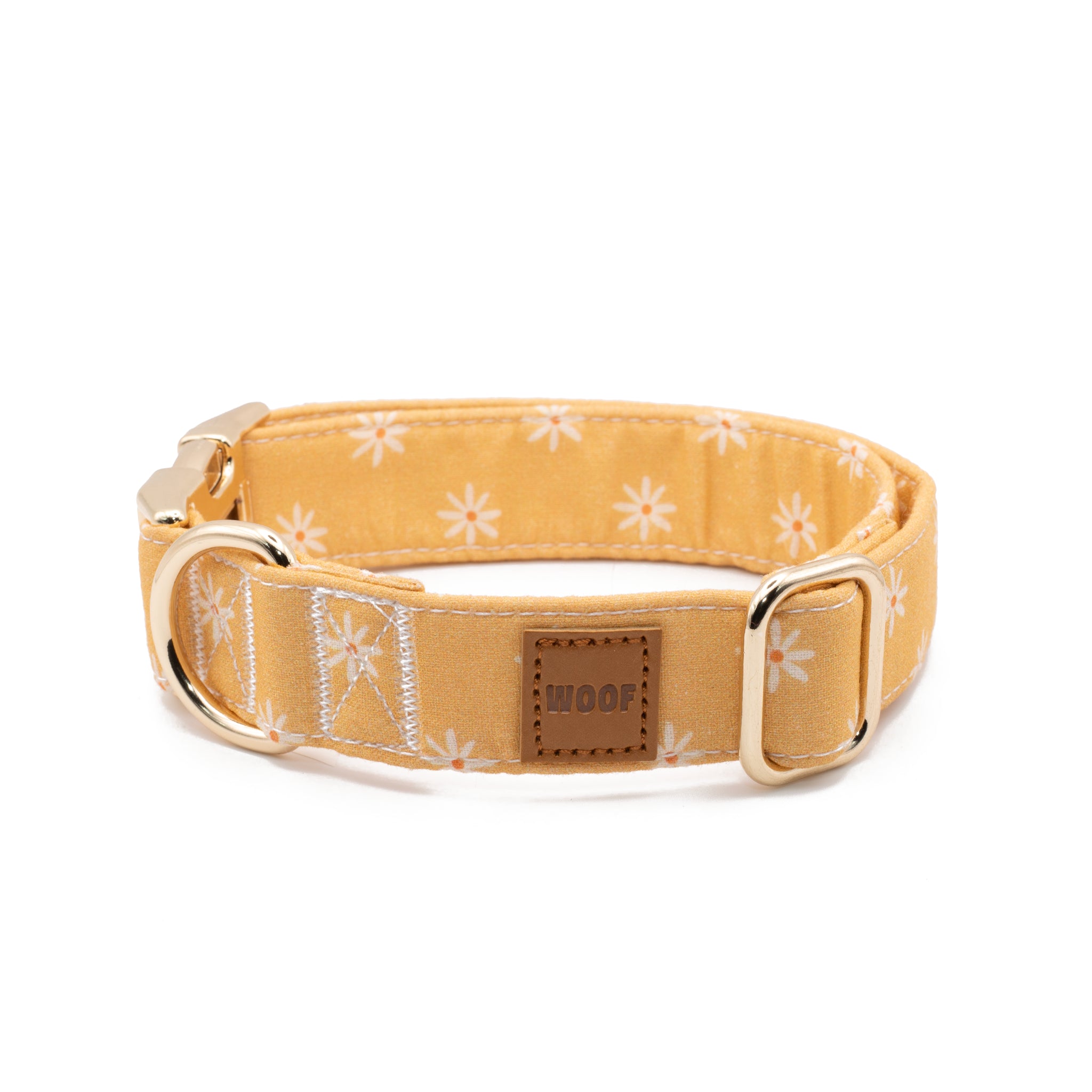 Coleira Daisy