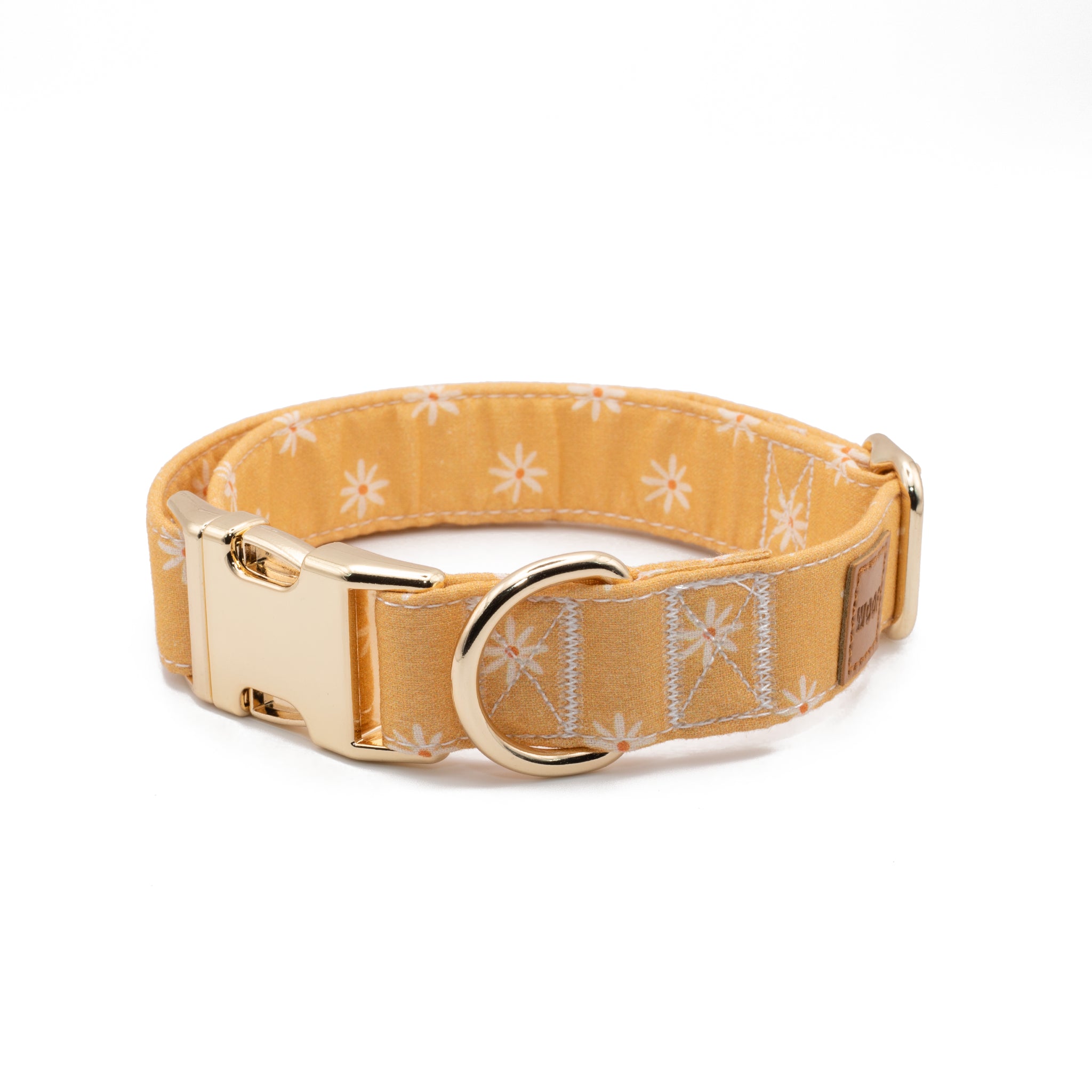 Coleira e Trela Daisy