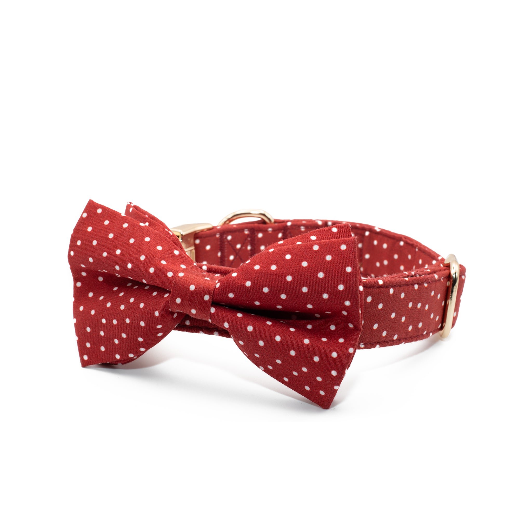 Coleira e Papillon Cherry