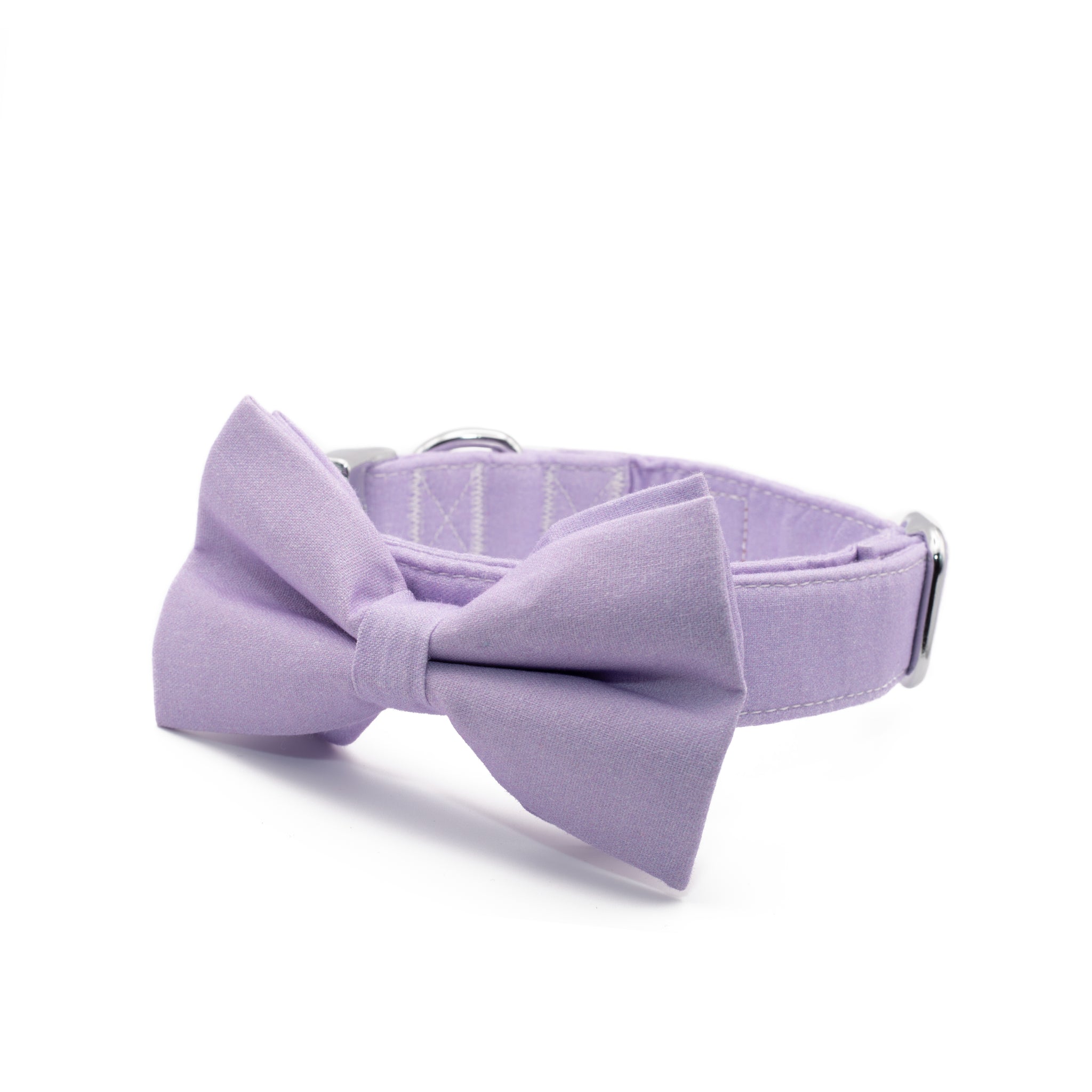 Coleira e Papillon Lavender