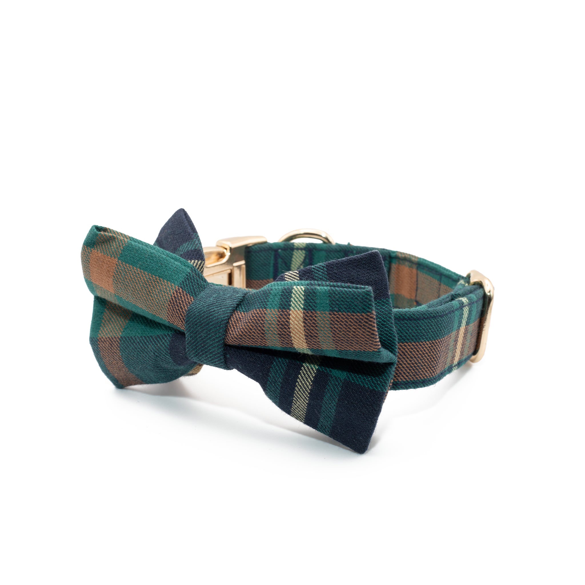 Coleira e Papillon Pine