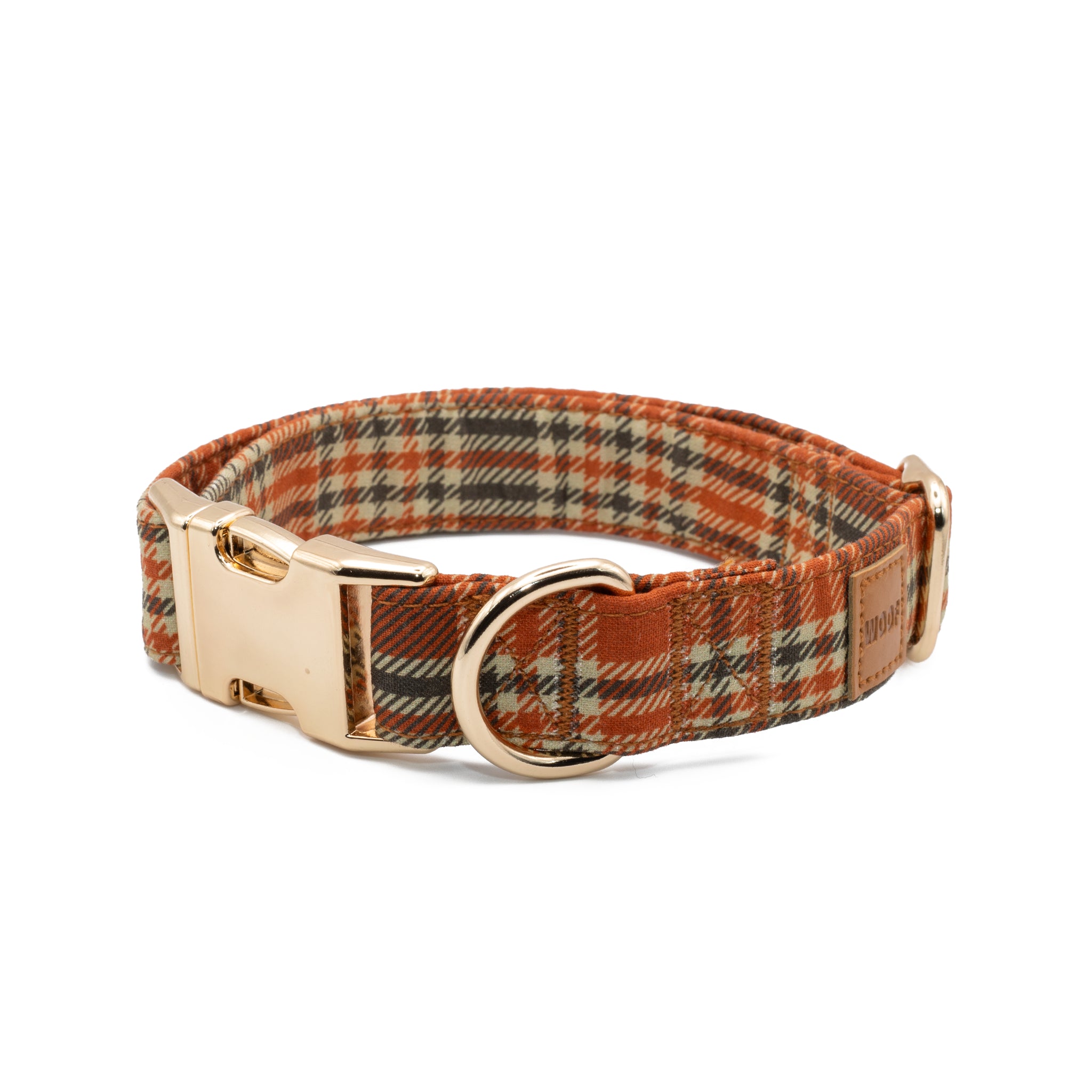 Coleira e Papillon Toffee