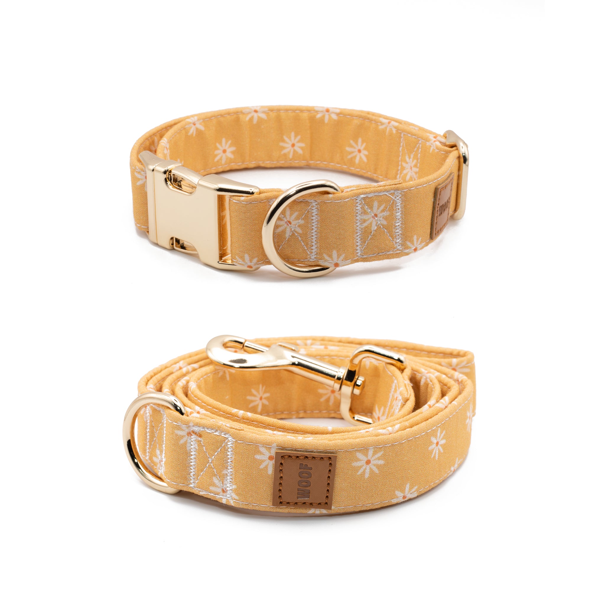 Coleira e Trela Daisy