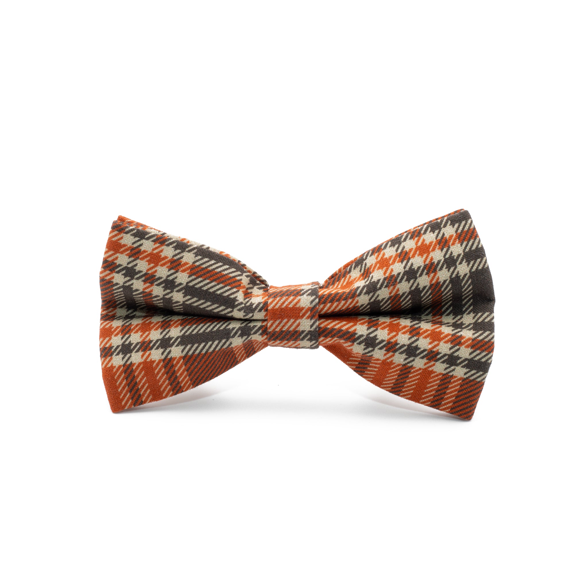 Coleira e Papillon Toffee