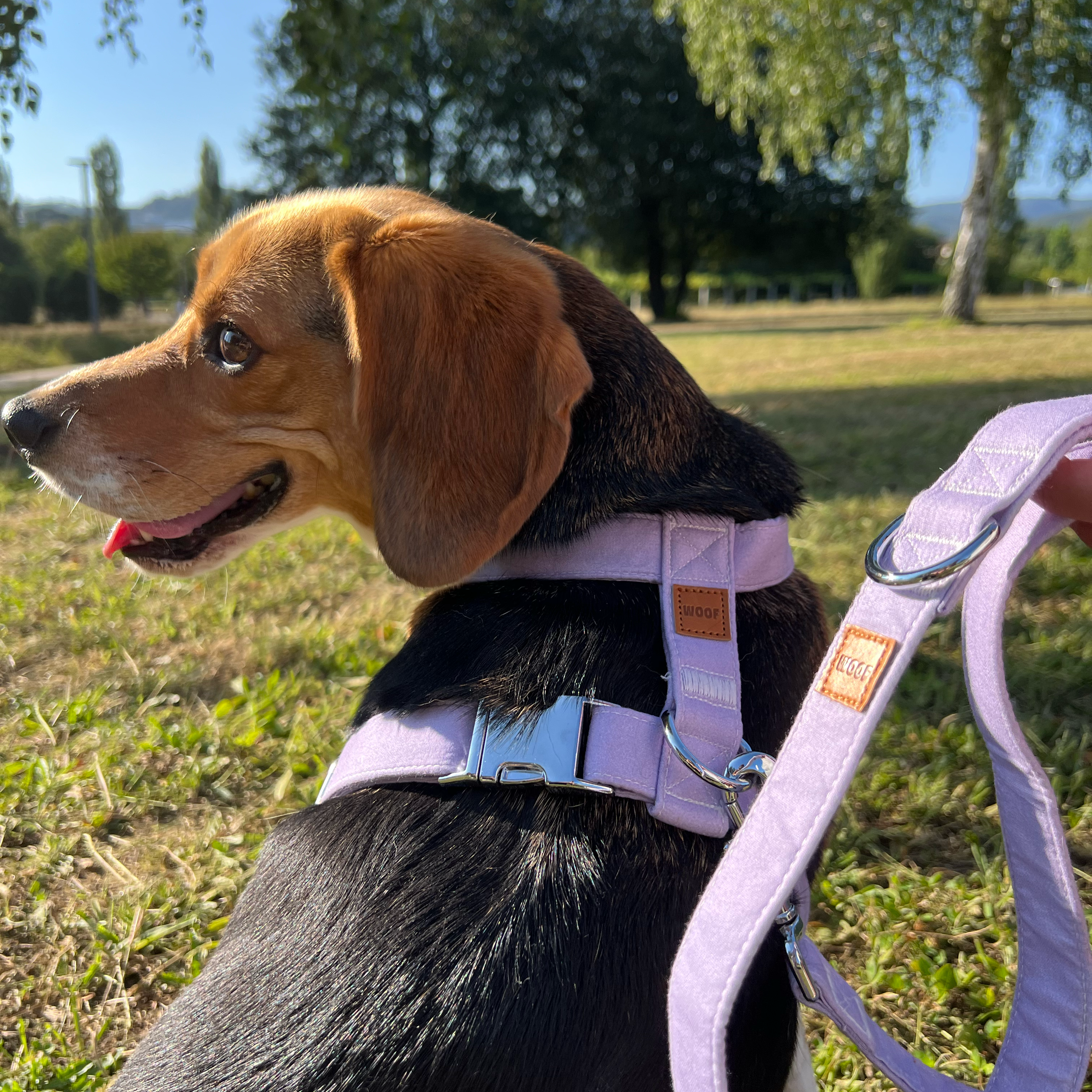 Guia de tamanhos: 14kg ~ Tamanho M