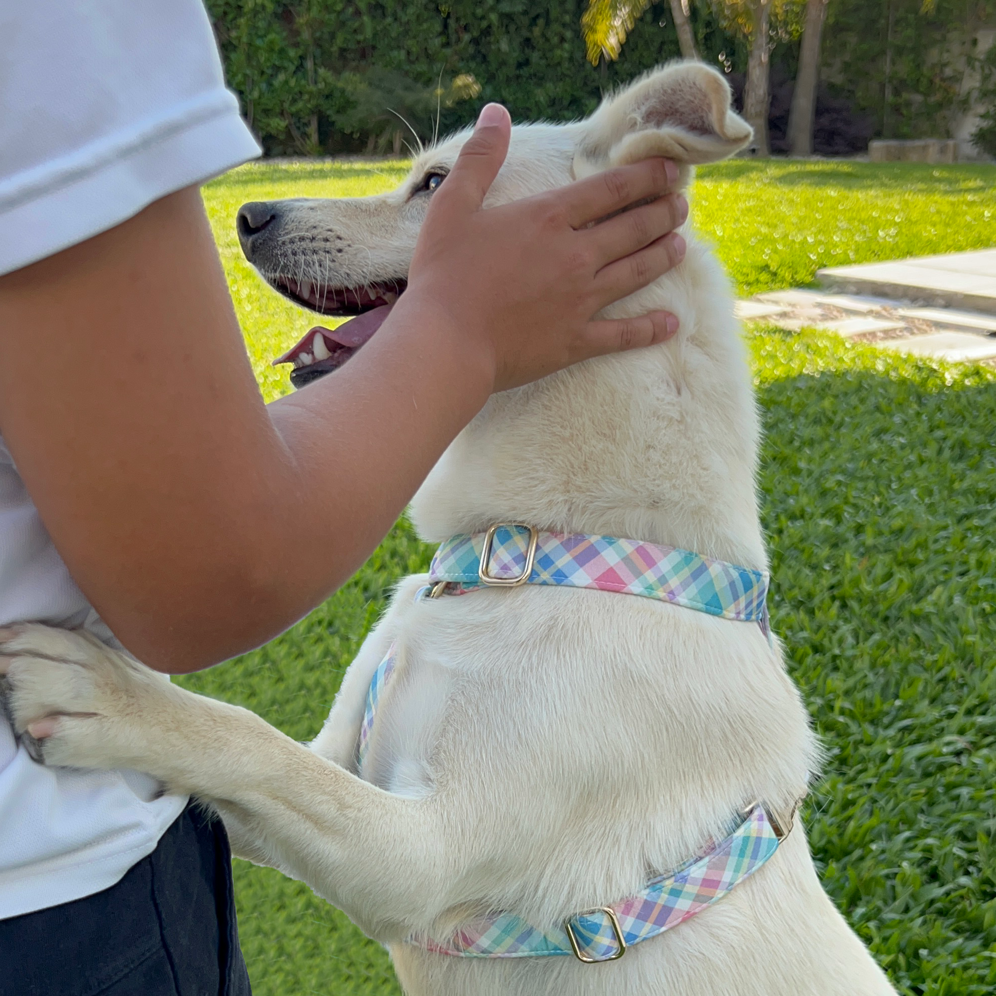 Guia de tamanhos: 15kg ~ Tamanho M