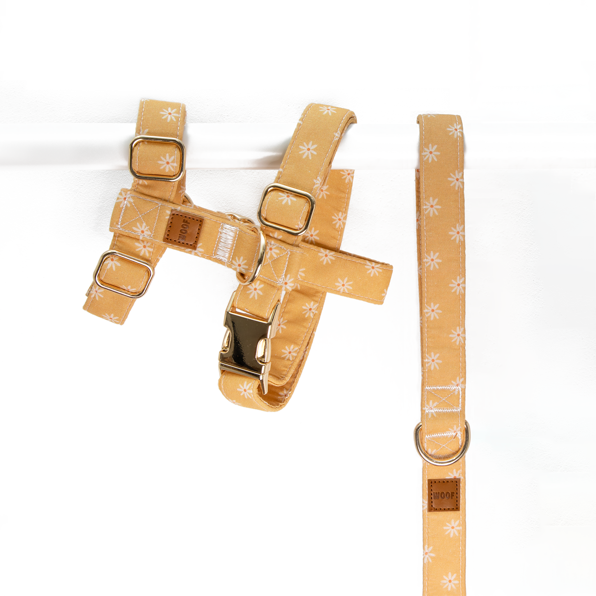 Peitoral e Trela Daisy