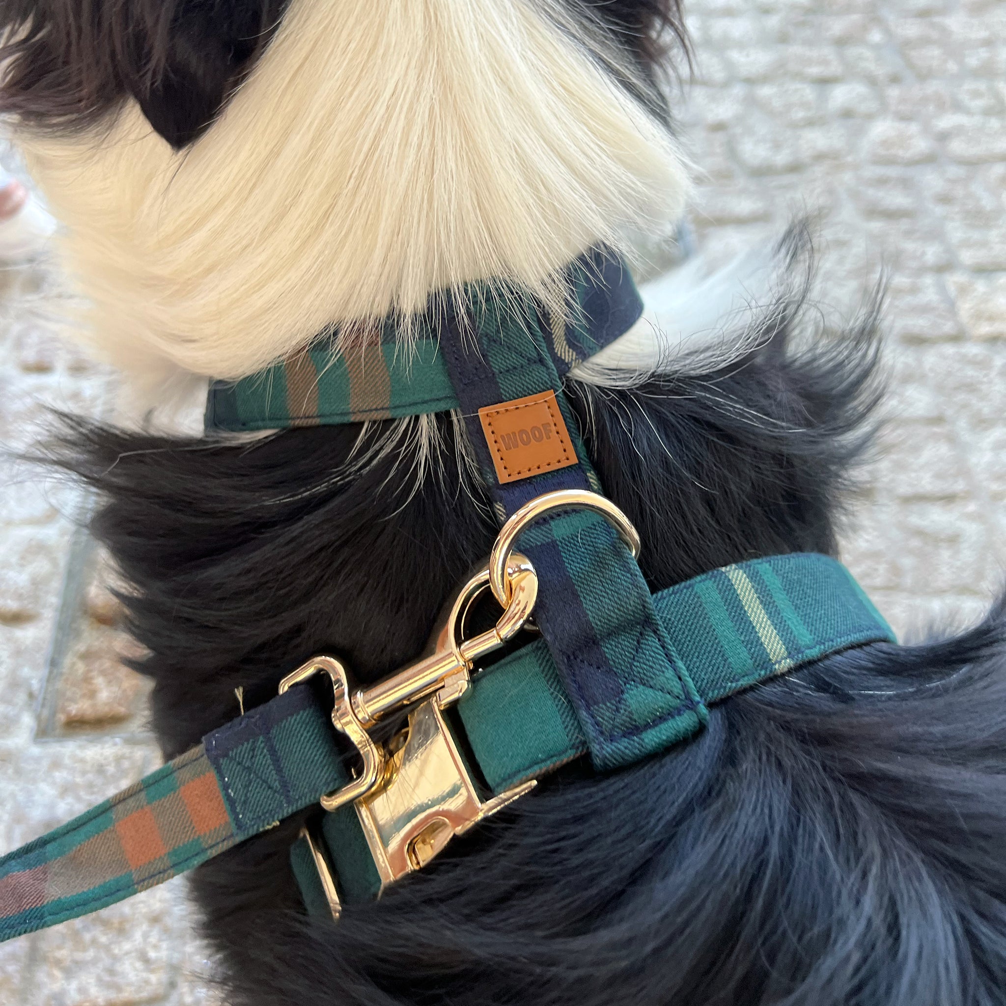 Guia de tamanhos: 25kg ~ Tamanho L