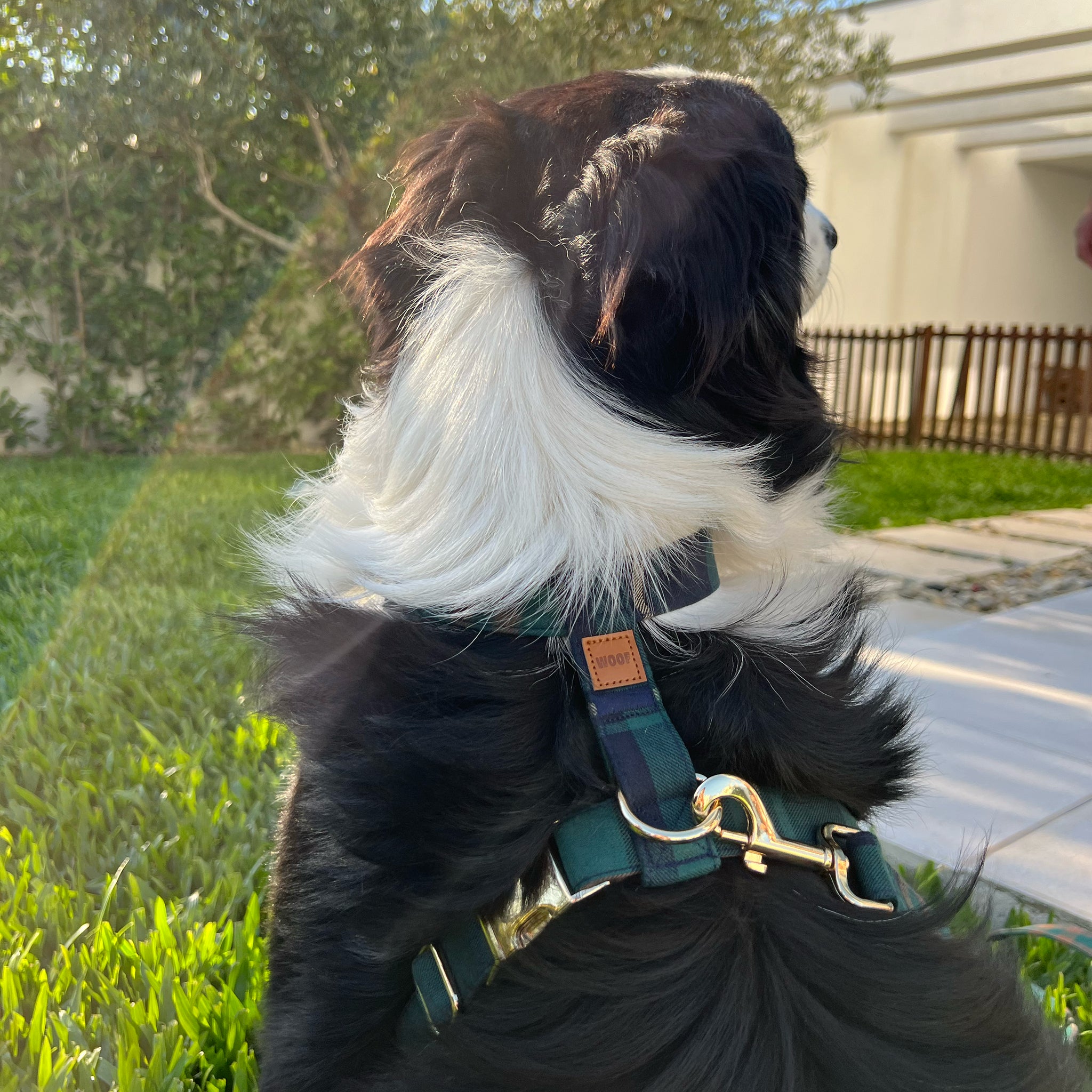 Guia de tamanhos: 25kg ~ Tamanho L